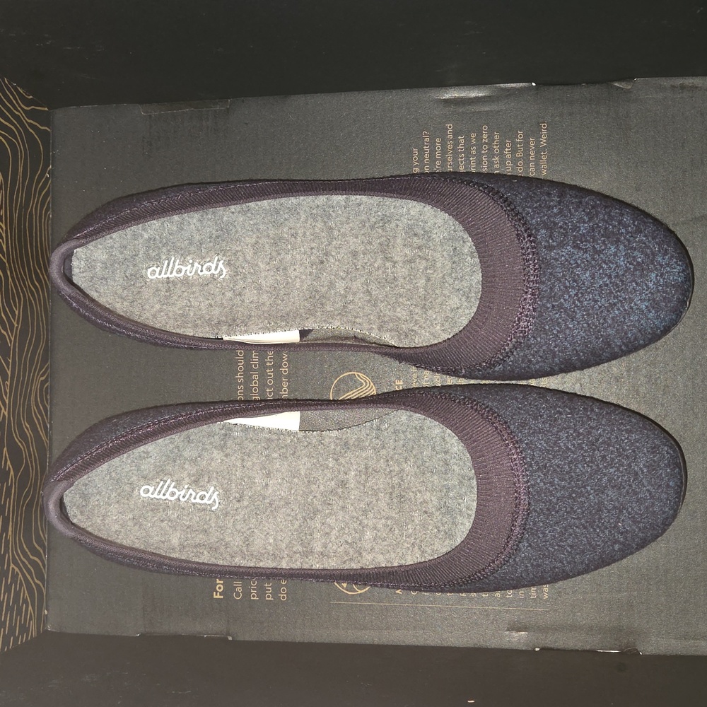 Allbirds Women's Wool Breezers Shoes